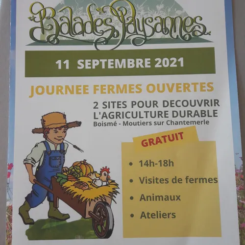 Journal du mercredi 1er septembre (midi)